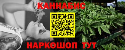 шишки Камышлов
